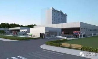 嘉吉加码江西市场，2亿饲料厂引发行业格局新变数